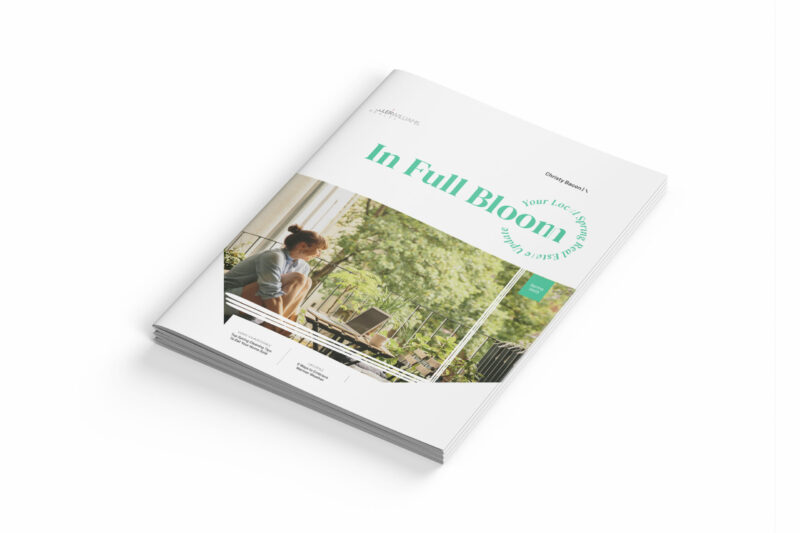 Saddle Stitched Booklet